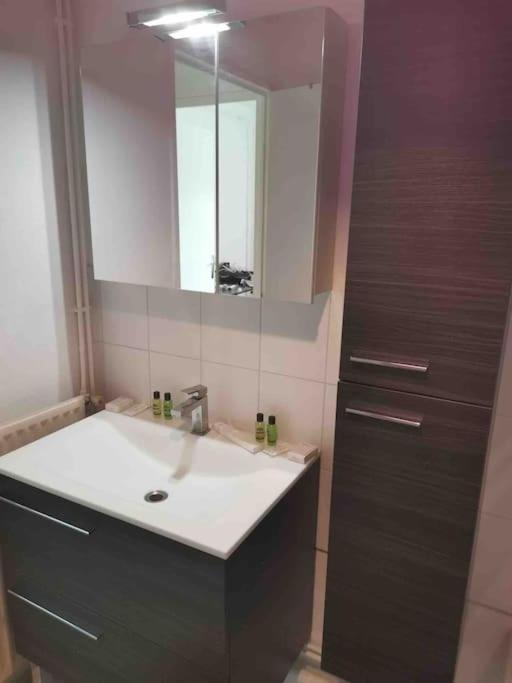 Charmant Appartement Au Calme Bourg-en-Bresse Kültér fotó